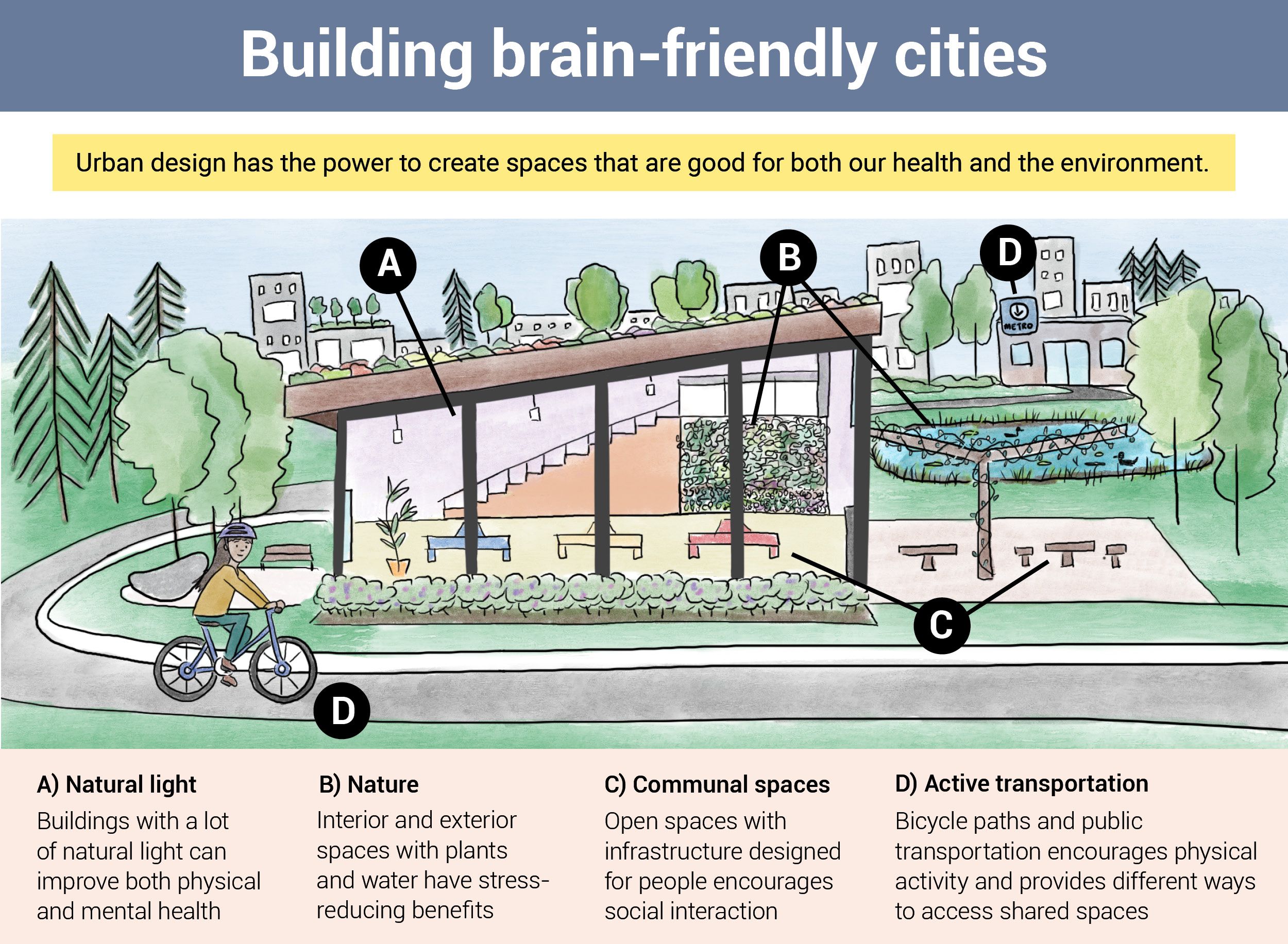 Infographic about brain-friendly urban design