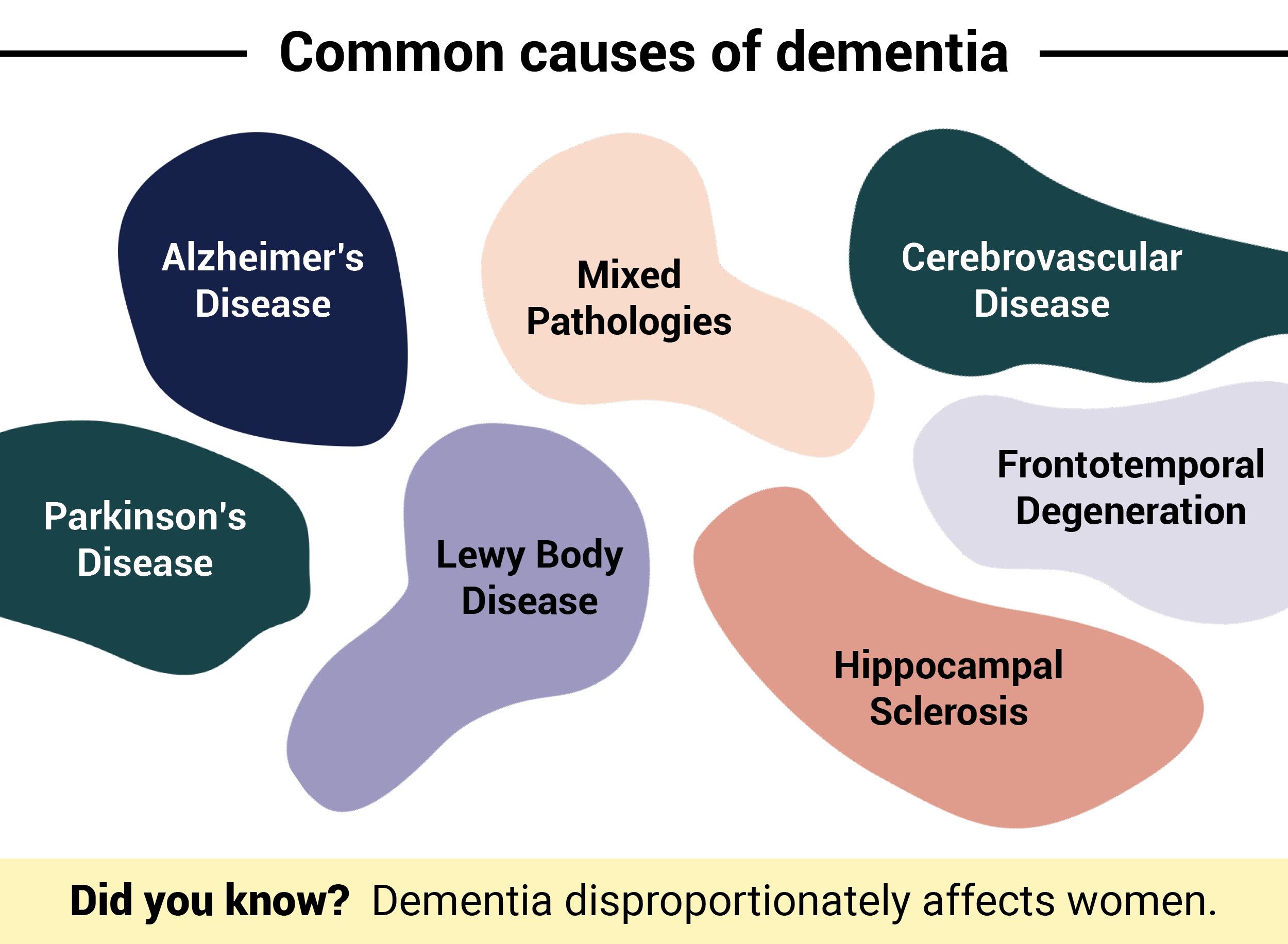 What Is Dementia 