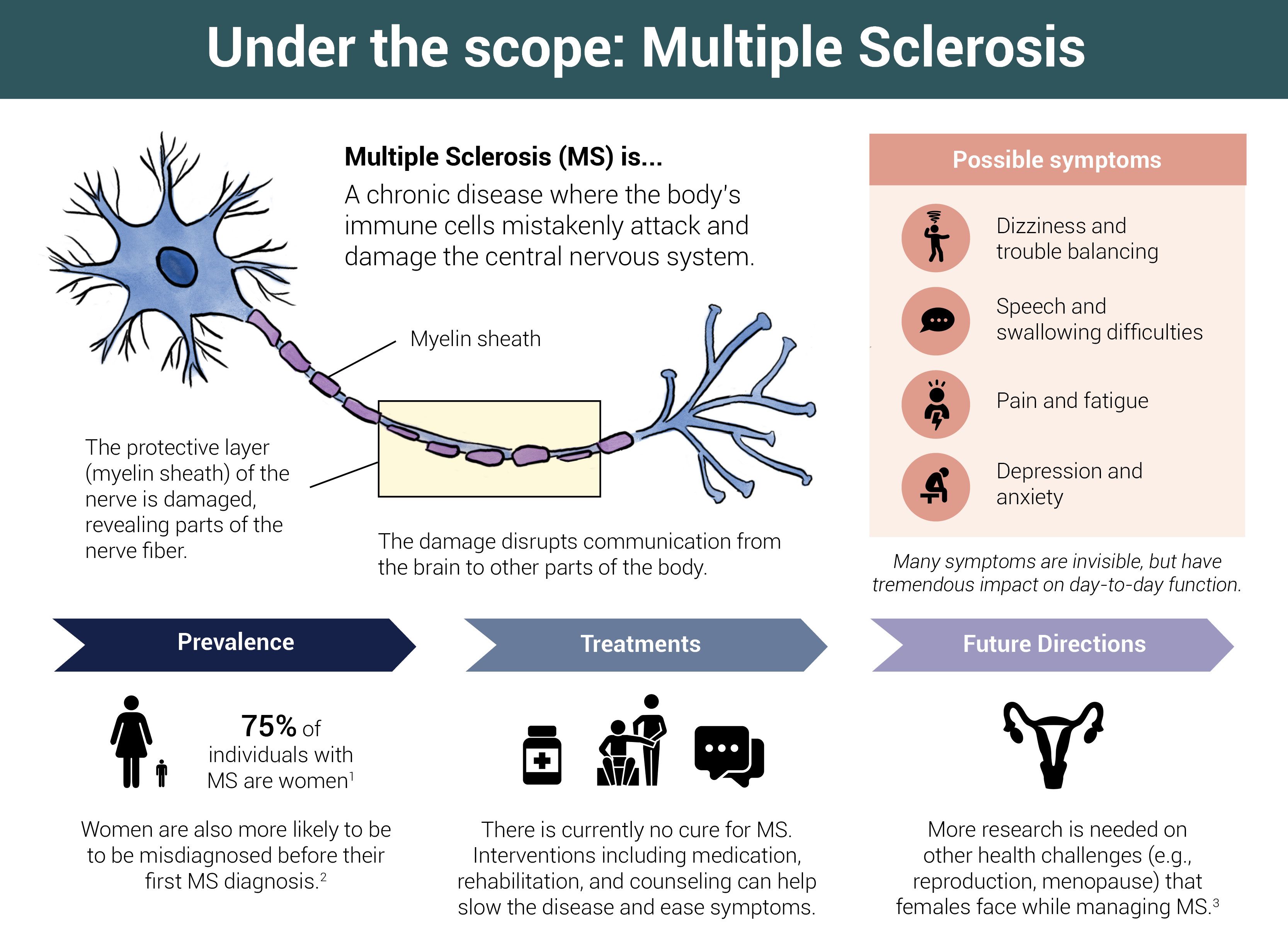Infographic on multiple sclerosis in women