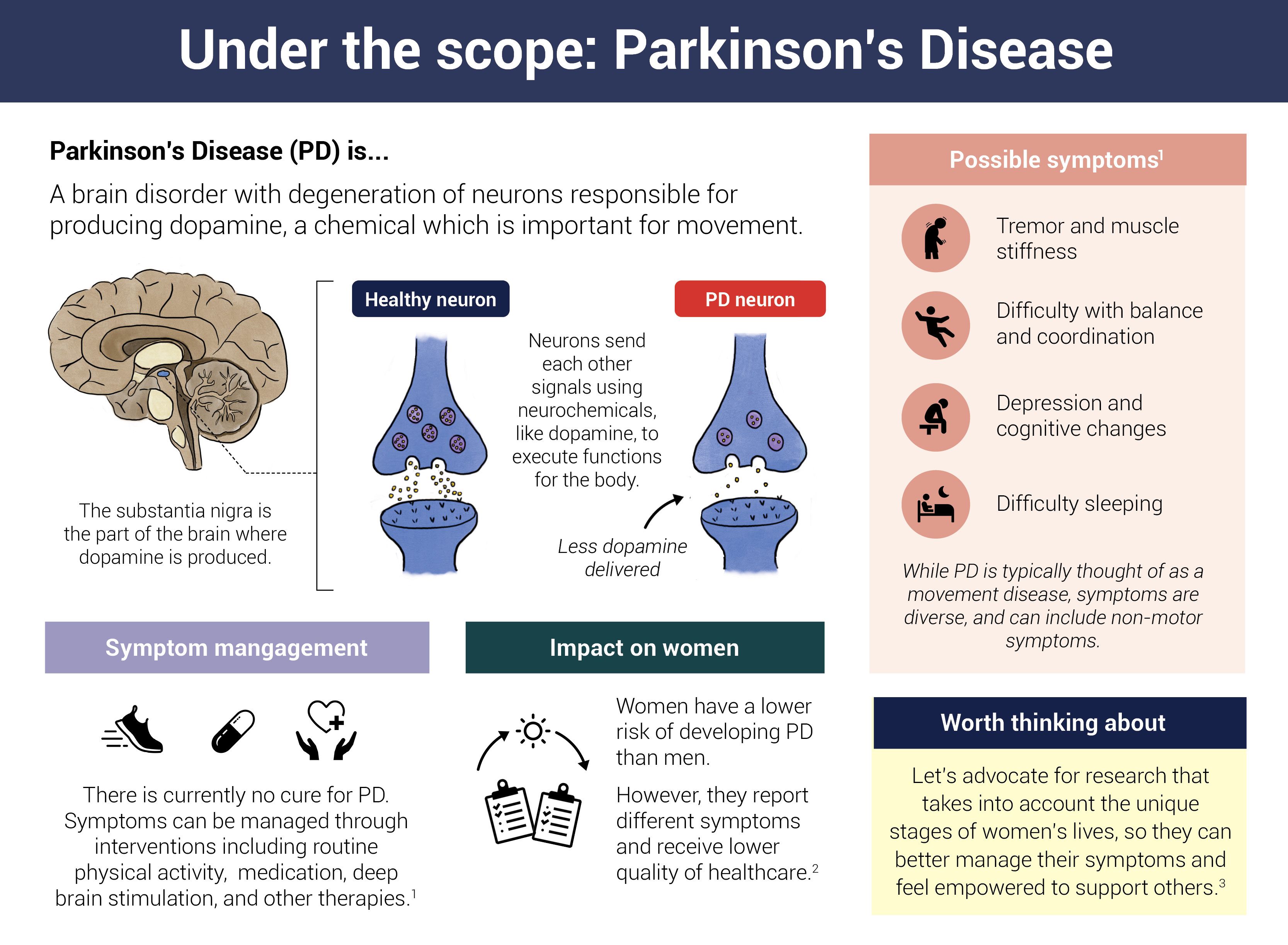 Infographic about the biology of Parkinson's disease