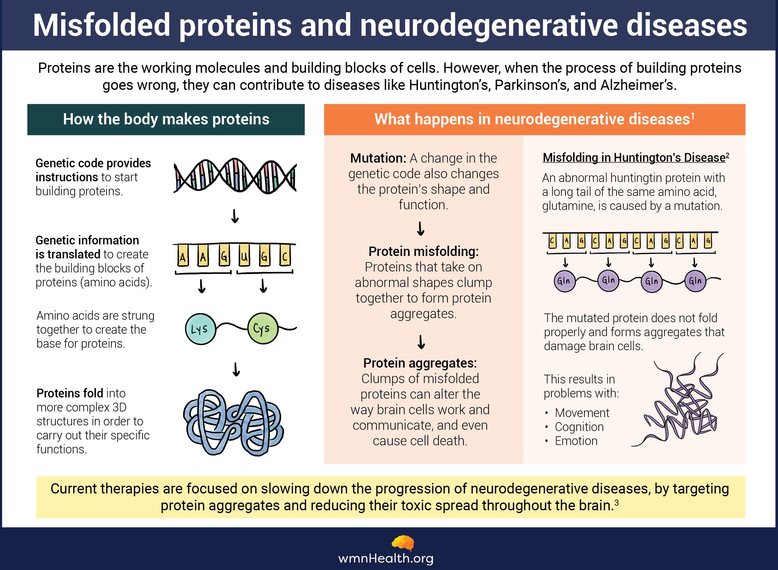 Infographic on protein folding and misfolding in neurodegenerative diseases like Alzheimer's