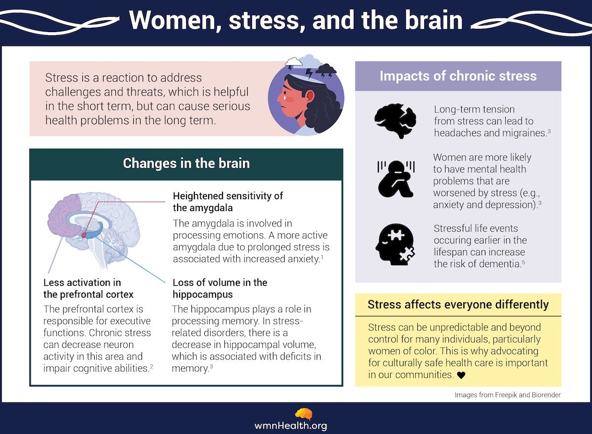 Infographic about stress, women, and the brain
